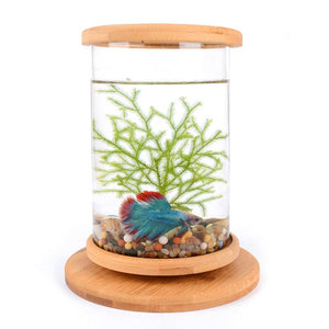 Bamboo Base Mini Glass Aquarium: A Stylish And Compact Fish Tank Decoration-1