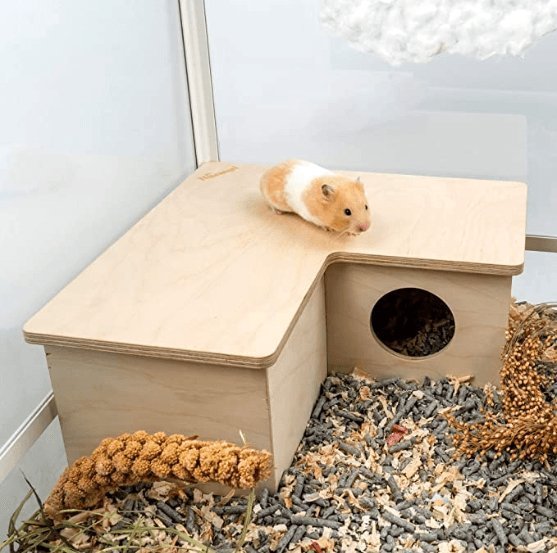 Birchwood Hamster Haven-2