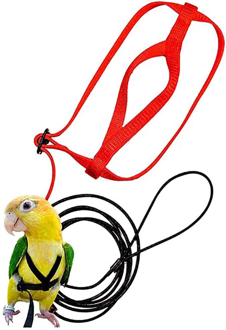 Bird Freedom Harness: Fly And Explore With Your Feathered Friend-0