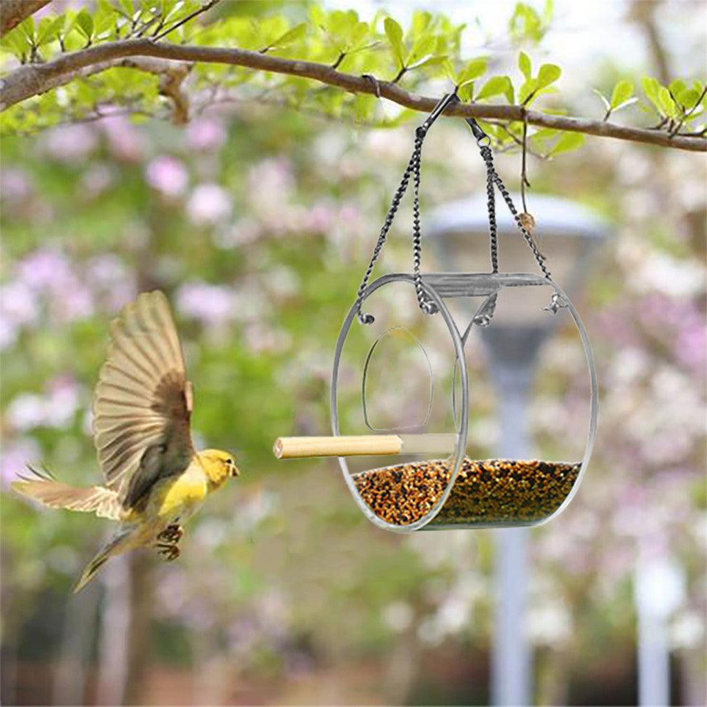 Birdie Buffet: Acrylic Seed Storage Delight-5