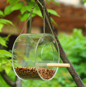 Birdie Buffet: Acrylic Seed Storage Delight-6