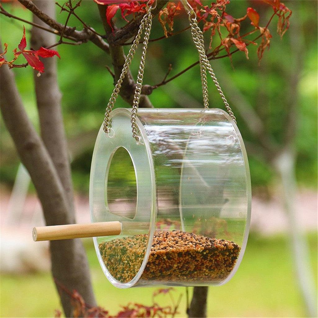 Birdie Buffet: Acrylic Seed Storage Delight-7