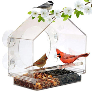 Bird's Eye View: Smart Bird Feeder With Live Camera Feed-8