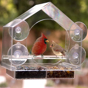 Bird's Eye View: Smart Bird Feeder With Live Camera Feed-0