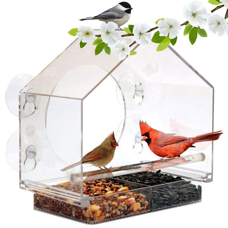 Bird's Eye View: Smart Bird Feeder With Live Camera Feed-5