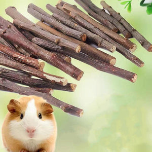 Natural Orchard Delights - Dried Branches For Small Pets-0