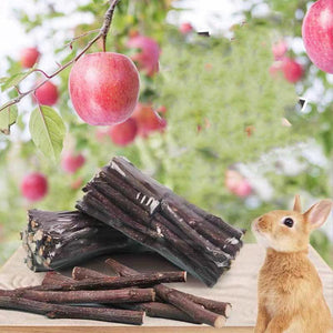 Wooden Bunny Bites: Natural Branch Chewing Snacks For Small Pets-4