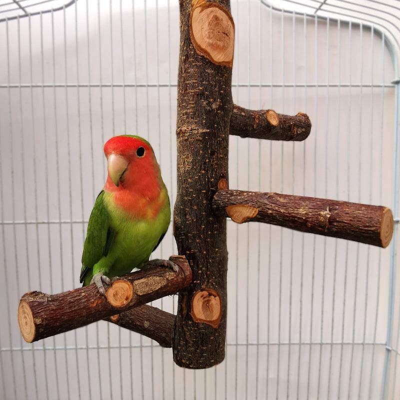 Simple And Stylish Apple Wood Parrot Bird Stand-0