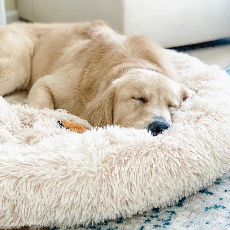 Soothing Calming Donut Pet Bed in White-1