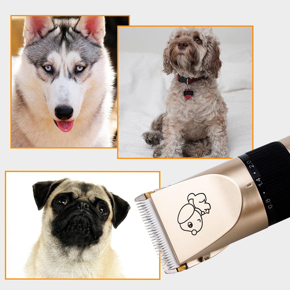 Ultimate Fur Care Kit: Premium Rechargeable Grooming Solution For Dogs-2