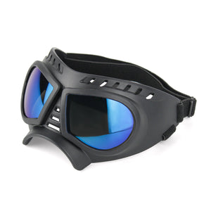 Large dog-ink sunglasses-6