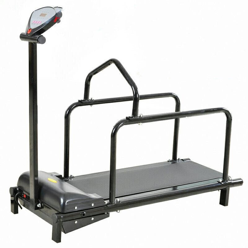 Dog special treadmill pet dog running training equipment-0