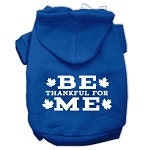 Thanksgiving Pet Dog & Cat Hoodie Screen Printed, "Be Thankful for Me"-4