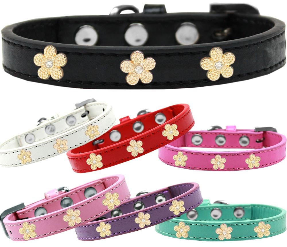 Dog, Puppy & Pet Widget Collar, "Gold Flower"-0