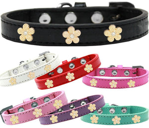 Dog, Puppy & Pet Widget Collar, "Gold Flower"-0