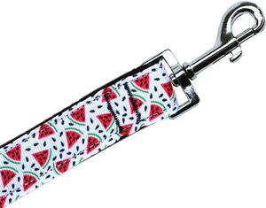 Pet Dog & Cat Nylon Collar or Leash, "Watermelon"-3