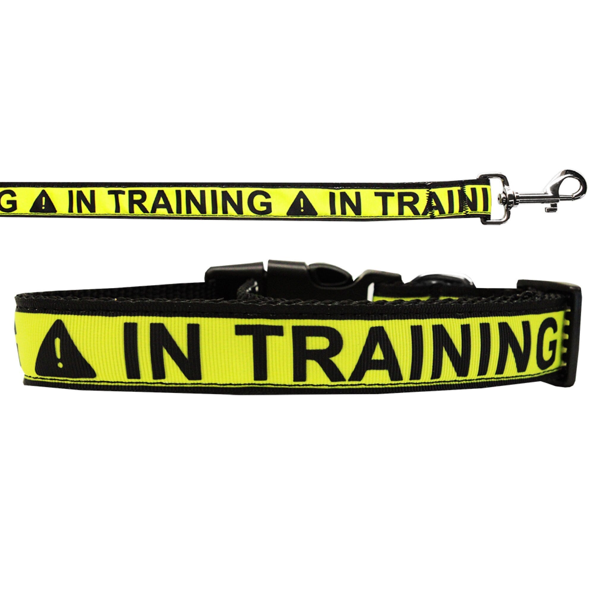 Pet Dog & Cat Nylon Collar or Leash, "In Training"-0