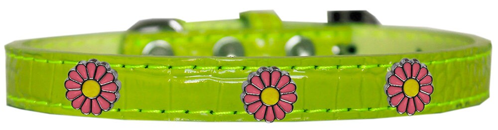 Dog, Puppy & Pet Designer Croc Widget Collar, "Pink Daisies"-4