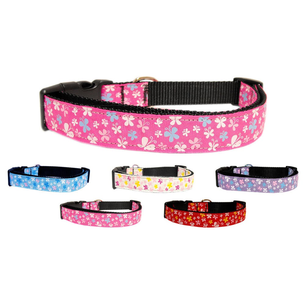 Pet Dog & Cat Nylon Collar or Leash, "Butterfly"-0