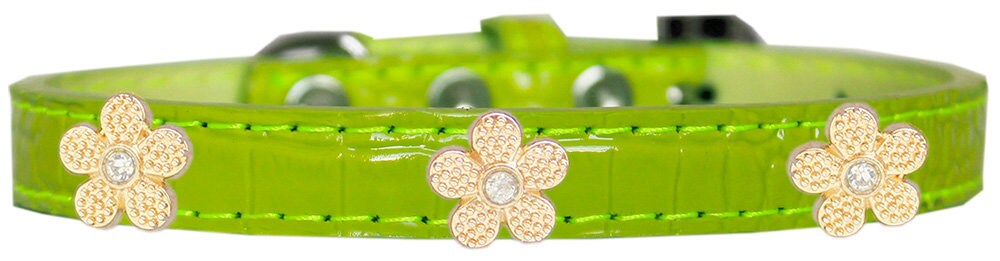 Dog, Puppy & Pet Designer Croc Widget Collar, "Gold Flowers"-8