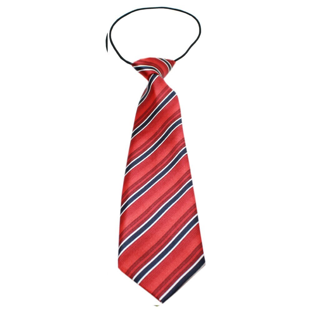 Big Dog Neck Ties, "Shades of Red"-0