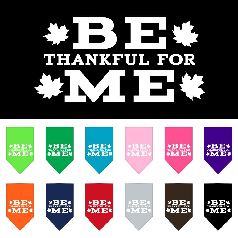 Thanksgiving Pet and Dog Bandana Screen Printed, "Be Thankful For Me"-0