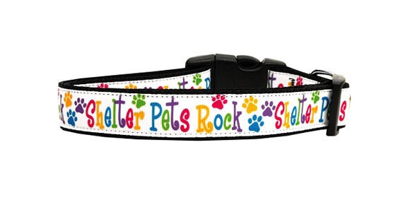 Pet Dog & Cat Nylon Collar or Leash, "Shelter Pets Rock"-2