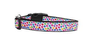 Pet Dog & Cat Nylon Collar or Leash, "Confetti Paws"-2