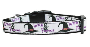 Halloween Pet Dog & Cat Nylon Collar or Leash, "Witch and Famous"-2