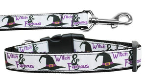 Halloween Pet Dog & Cat Nylon Collar or Leash, "Witch and Famous"-0