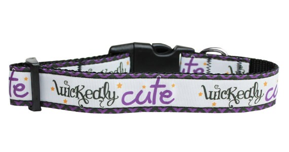 Halloween Pet Dog & Cat Nylon Collar or Leash, "Wickedly Cute"-2