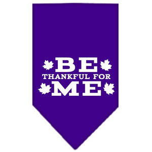 Thanksgiving Pet and Dog Bandana Screen Printed, "Be Thankful For Me"-1