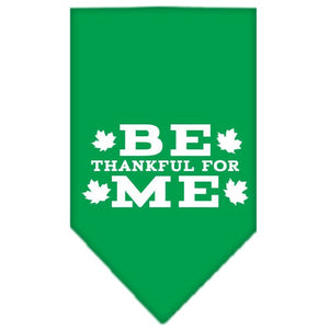 Thanksgiving Pet and Dog Bandana Screen Printed, "Be Thankful For Me"-4