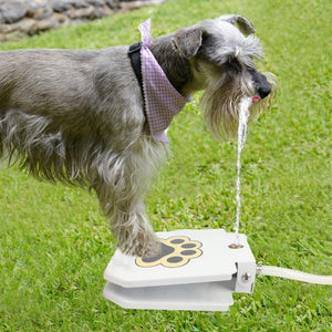 Pets Water Fountain Dogs Training Tool-0