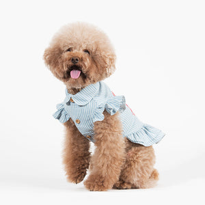 Light Denim Dog Dress-2