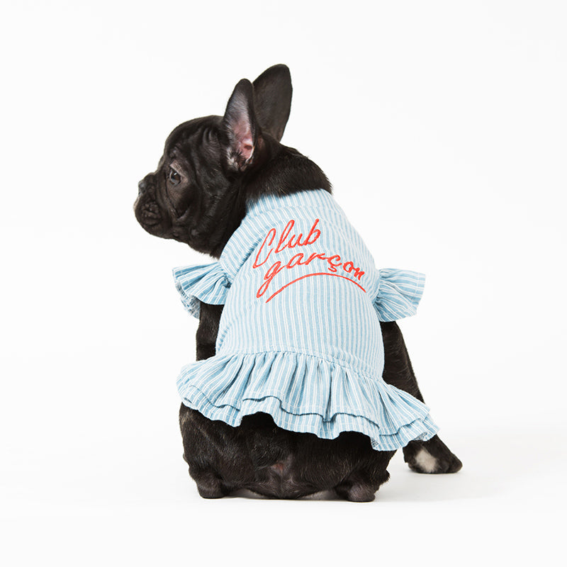 Light Denim Dog Dress-4