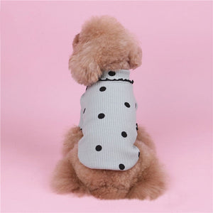 Polka Dot Cotton Sweater-1