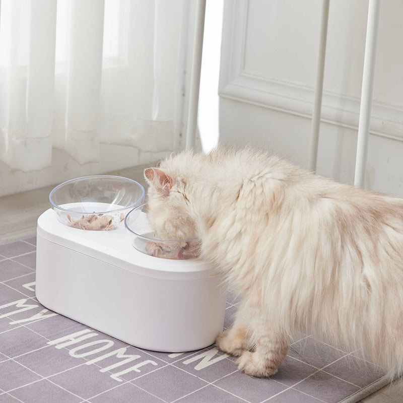 Double Pet Bowl Feeder with Storage Space-5