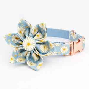 Daisy Flower Collar & Lead Set-4