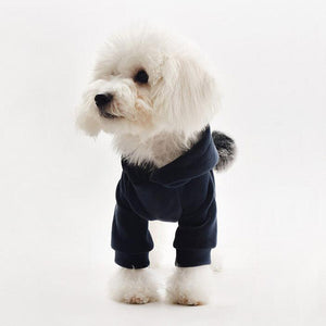 Thick Cotton Pom Pom Pet Hoodie-6