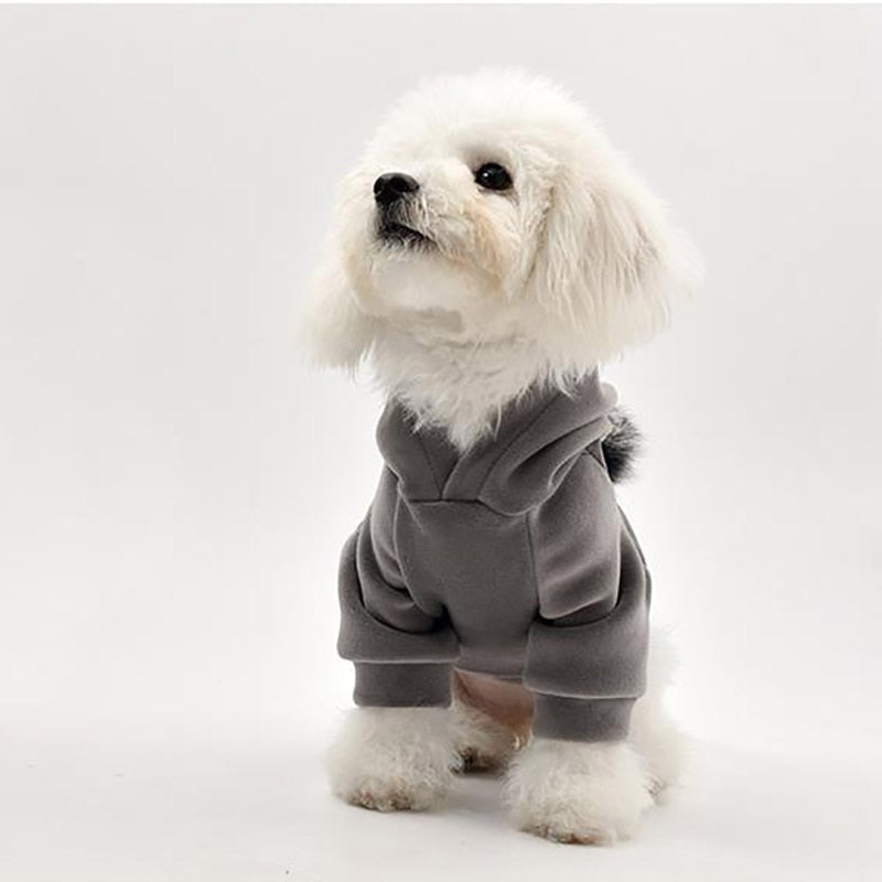 Thick Cotton Pom Pom Pet Hoodie-5