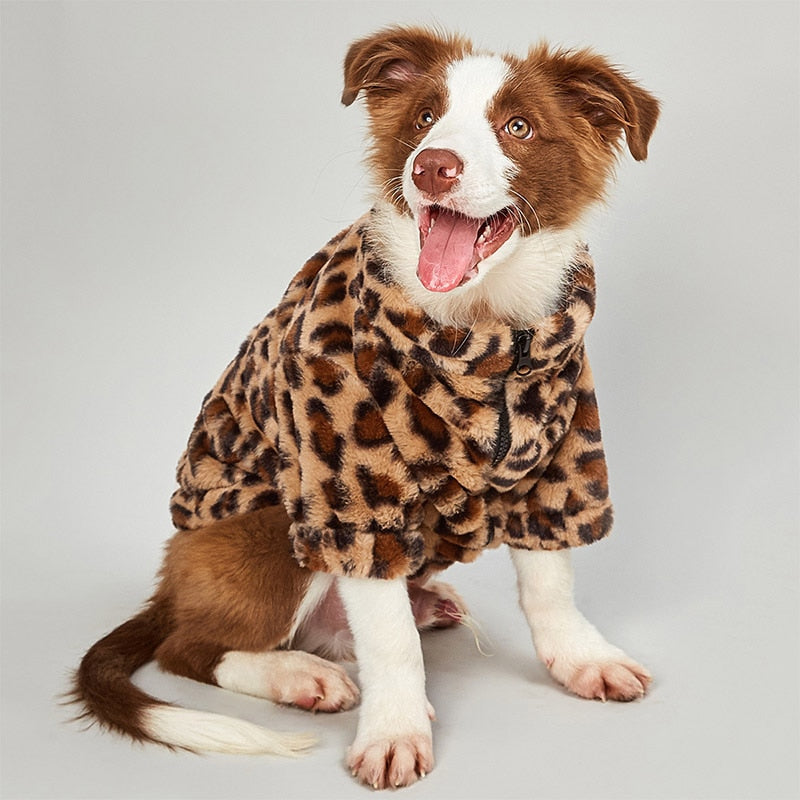 Zip Up Leopard Dog Jacket-1