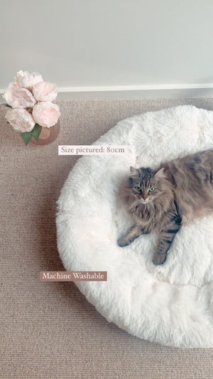 Soothing Calming Donut Pet Bed in White-2